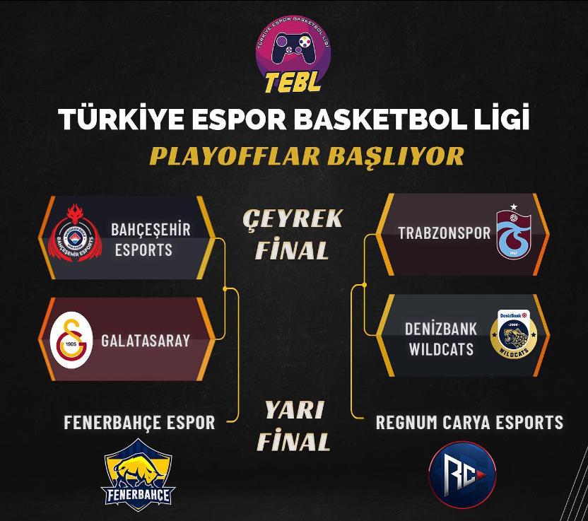 Türkiye Espor Basketbol Ligi