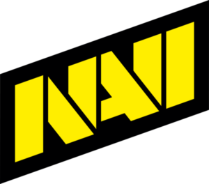 PUBG Partner Takım | NAVI Logo