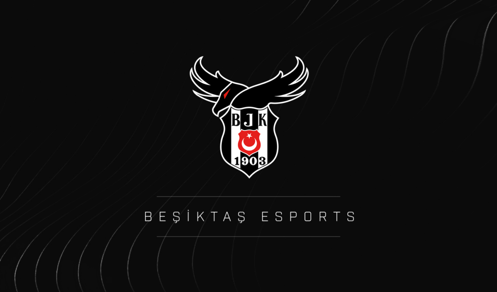 Beşiktaş Espor