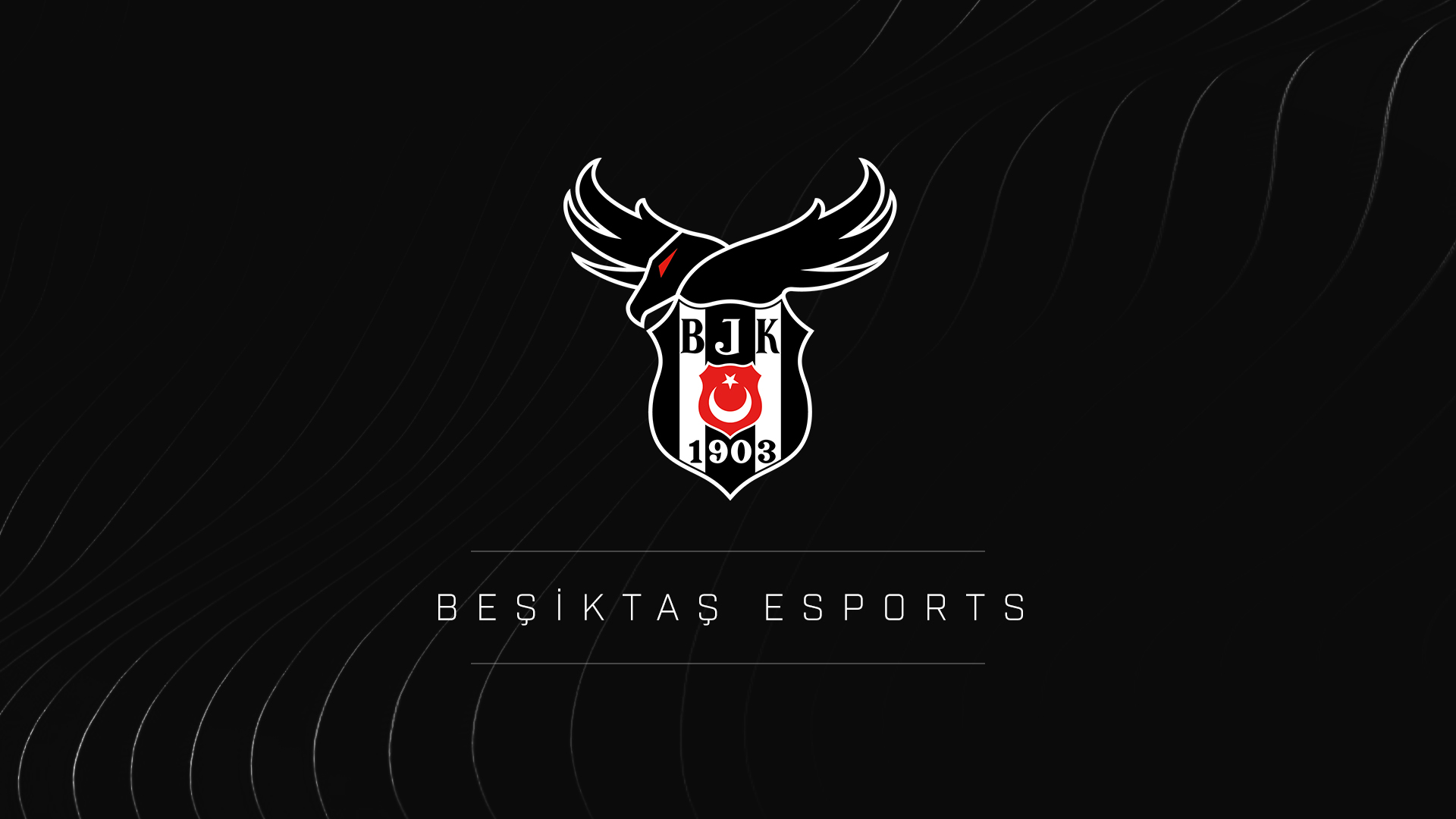 Beşiktaş Espor
