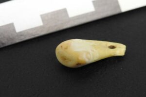 Max Planck Enstitüsü tarafından yapılan araştırmada, kolye olarak kullanılan dişin, bir Kuzey Amerika çok boynuzlu geyiğine ait olduğu belirlendi.