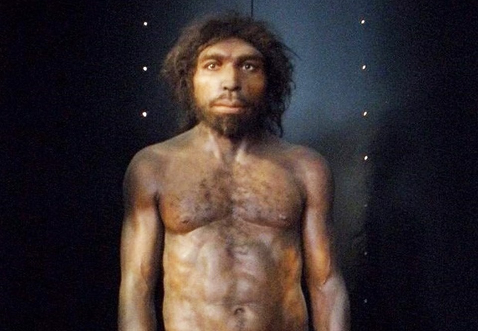 Homo Rhodesiensis
