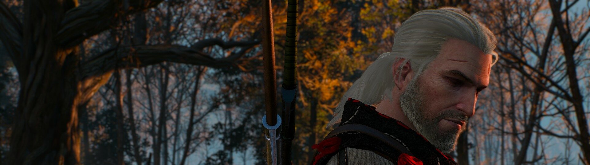 Witcher