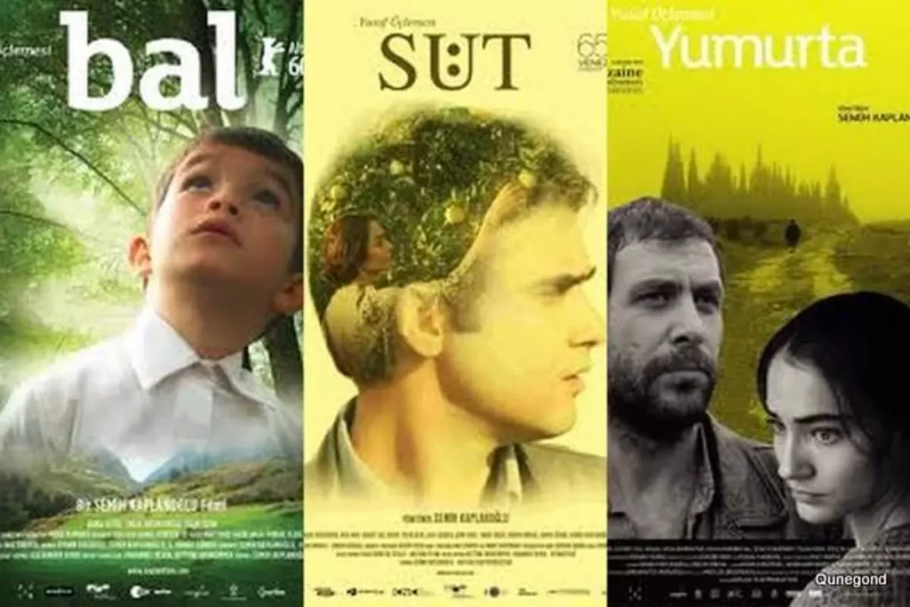 Sanat Filmleri