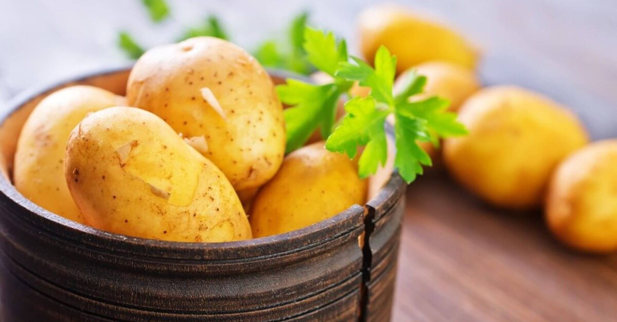 Patates