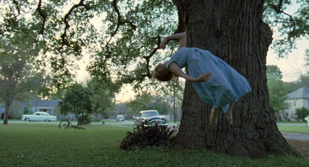 The Tree of Life