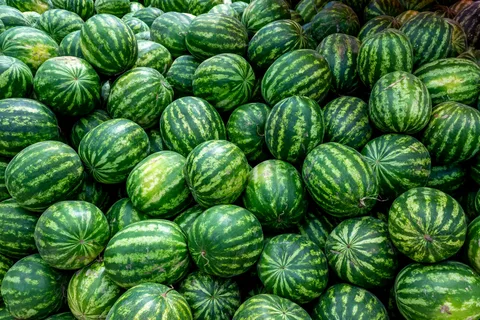 Karpuz