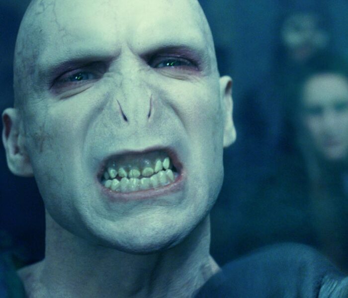 Lord Voldermort smile