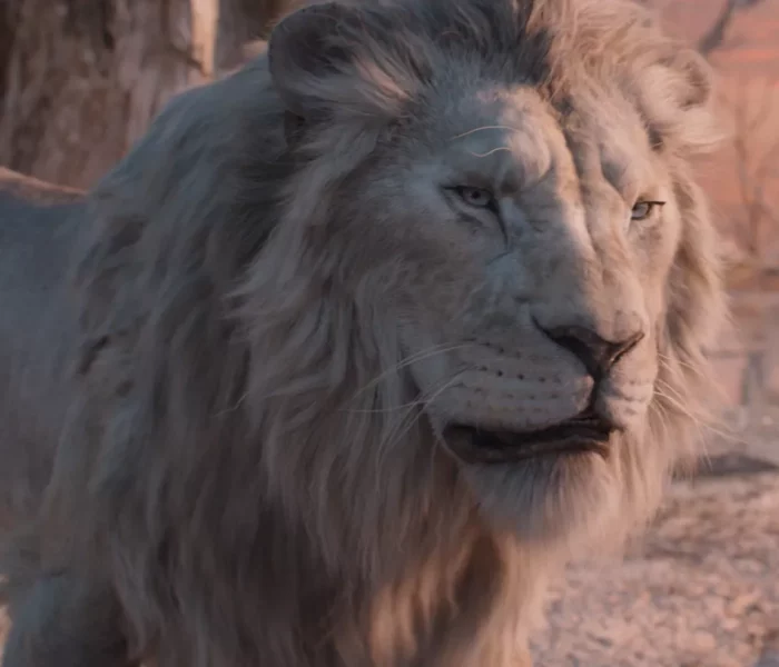 mufasa