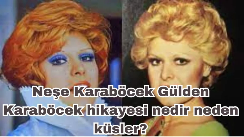 Neşe–Gülden Karaböcek