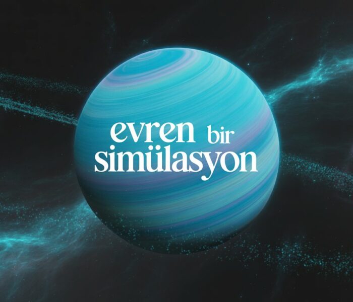 Evren Bir Simülasyonv