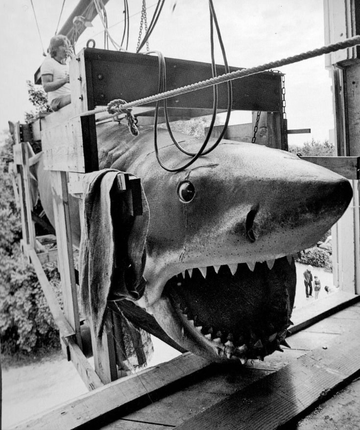 Jaws
