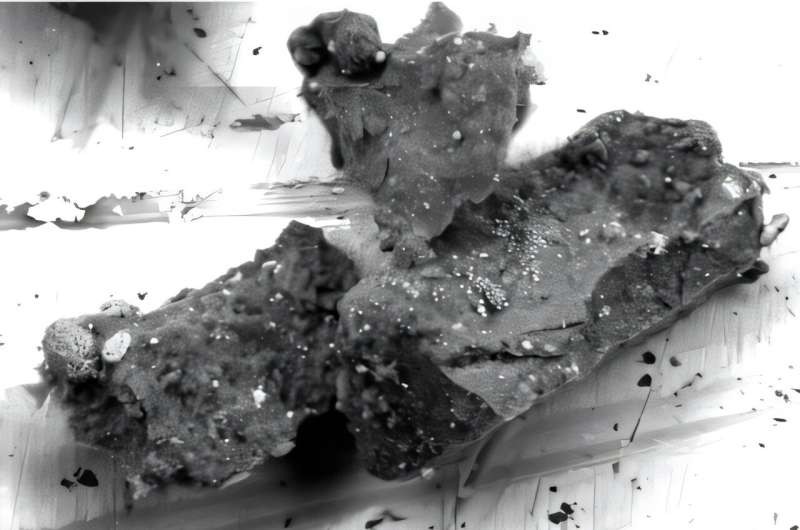Ryugu