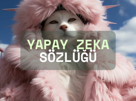 Yapay Zeka Sözlüğü