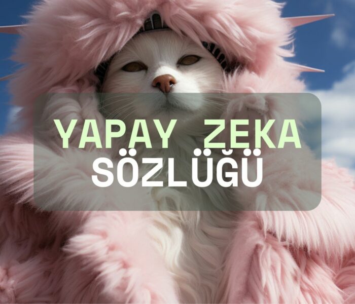 Yapay Zeka Sözlüğü